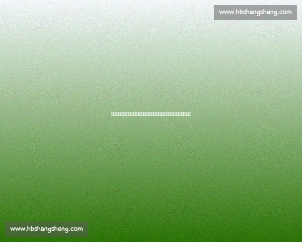 中国女排对阵俄罗斯比赛录像全景解析经典回合重温战术细节与高光瞬间