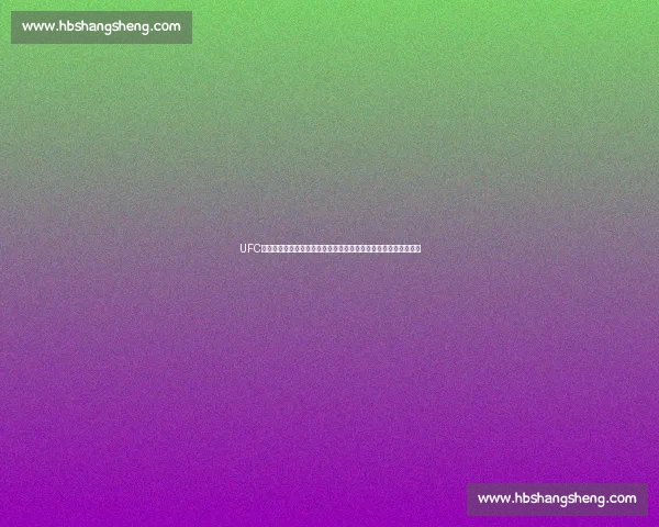 UFC重量级经典对决大布对阵锤子血战擂台全解析历史意义与战术回顾